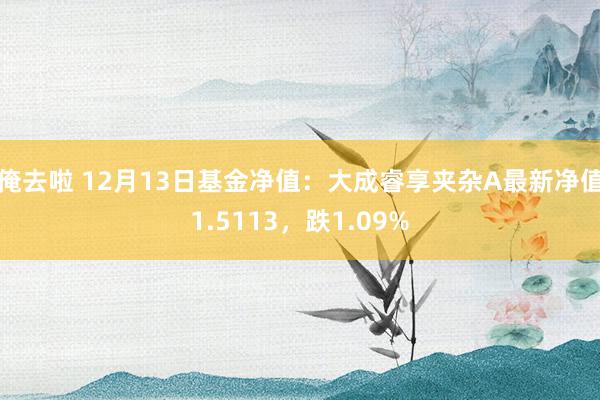 俺去啦 12月13日基金净值：大成睿享夹杂A最新净值1.5113，跌1.09%