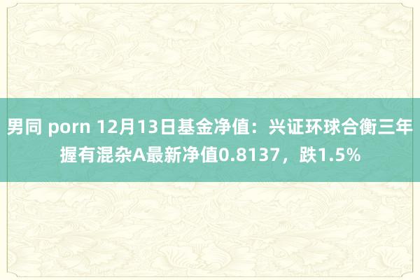 男同 porn 12月13日基金净值：兴证环球合衡三年握有混杂A最新净值0.8137，跌1.5%