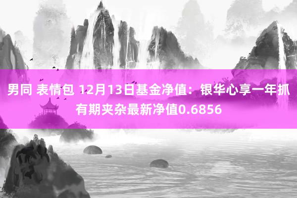 男同 表情包 12月13日基金净值：银华心享一年抓有期夹杂最新净值0.6856