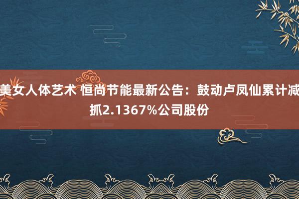 美女人体艺术 恒尚节能最新公告：鼓动卢凤仙累计减抓2.1367%公司股份