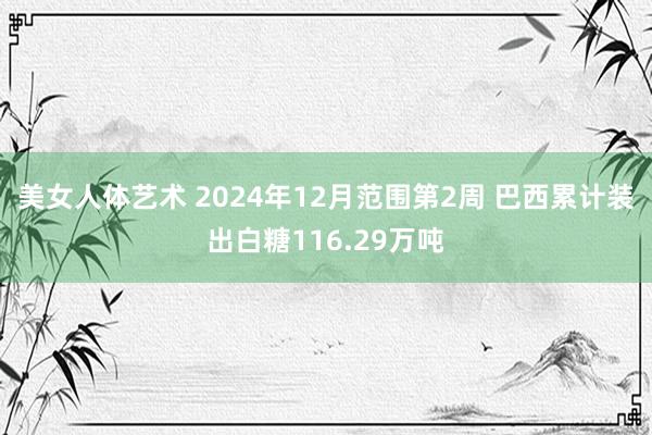 美女人体艺术 2024年12月范围第2周 巴西累计装出白糖116.29万吨