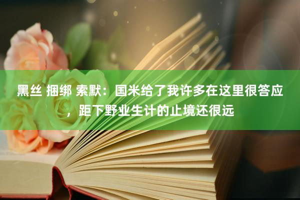 黑丝 捆绑 索默：国米给了我许多在这里很答应，距下野业生计的止境还很远