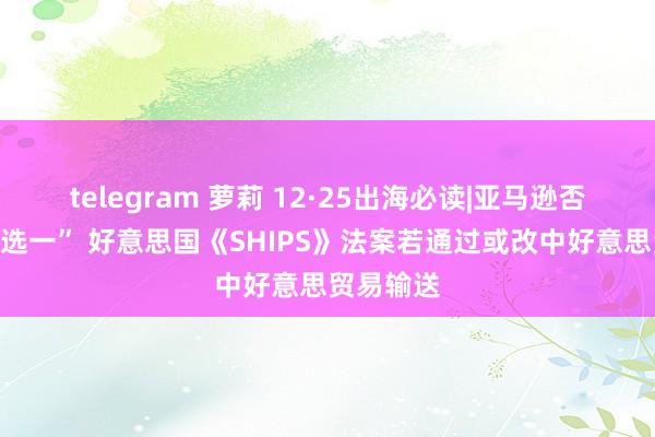 telegram 萝莉 12·25出海必读|亚马逊否定搞“二选一” 好意思国《SHIPS》法案若通过或改中好意思贸易输送