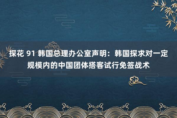 探花 91 韩国总理办公室声明：韩国探求对一定规模内的中国团体搭客试行免签战术