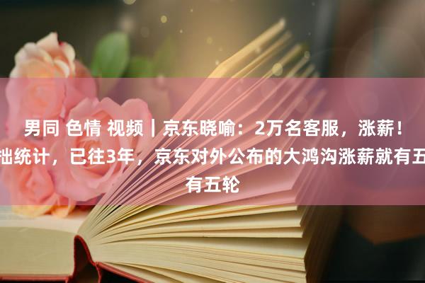 男同 色情 视频｜京东晓喻：2万名客服，涨薪！粗拙统计，已往3年，京东对外公布的大鸿沟涨薪就有五轮