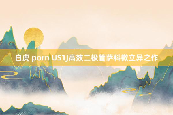 白虎 porn US1J高效二极管萨科微立异之作