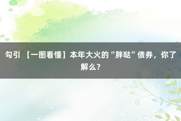 勾引 【一图看懂】本年大火的“胖哒”债券，你了解么？