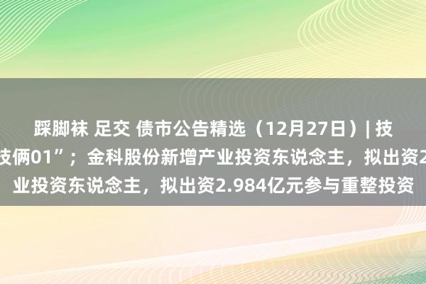 踩脚袜 足交 债市公告精选（12月27日）| 技俩年宽限一年兑付“20技俩01”；金科股份新增产业投资东说念主，拟出资2.984亿元参与重整投资