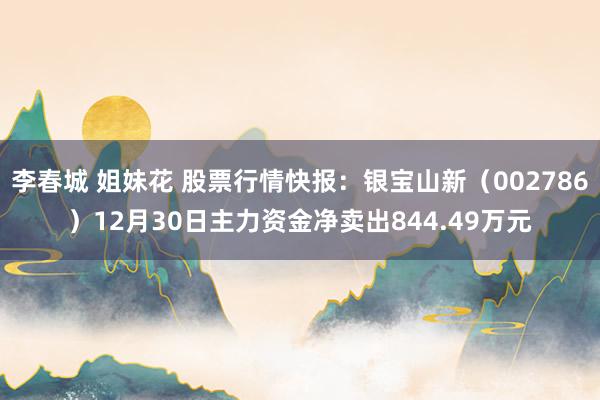 李春城 姐妹花 股票行情快报：银宝山新（002786）12月30日主力资金净卖出844.49万元