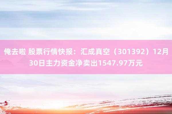 俺去啦 股票行情快报：汇成真空（301392）12月30日主力资金净卖出1547.97万元