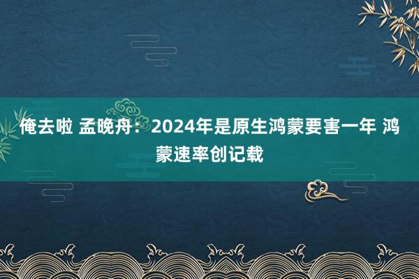 俺去啦 孟晚舟：2024年是原生鸿蒙要害一年 鸿蒙速率创记载