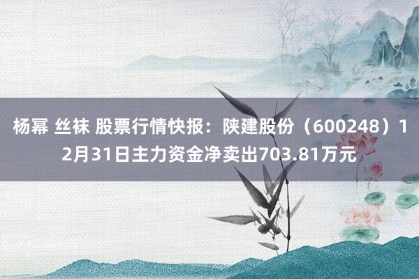 杨幂 丝袜 股票行情快报：陕建股份（600248）12月31日主力资金净卖出703.81万元