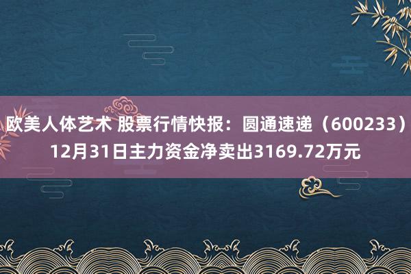 欧美人体艺术 股票行情快报：圆通速递（600233）12月31日主力资金净卖出3169.72万元