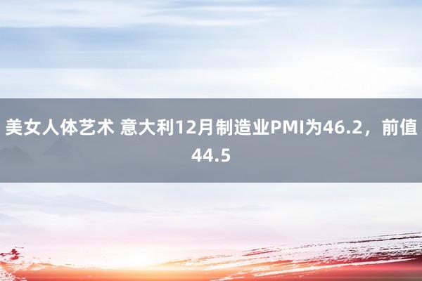 美女人体艺术 意大利12月制造业PMI为46.2，前值44.5