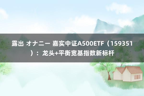 露出 オナニー 嘉实中证A500ETF（159351）：龙头+平衡宽基指数新标杆