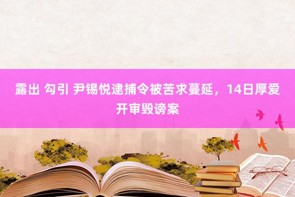 露出 勾引 尹锡悦逮捕令被苦求蔓延，14日厚爱开审毁谤案