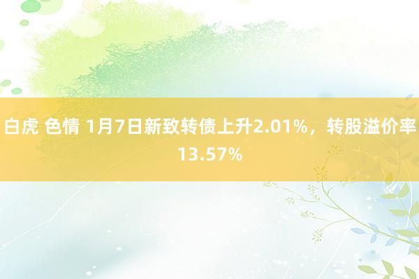 白虎 色情 1月7日新致转债上升2.01%，转股溢价率13.57%