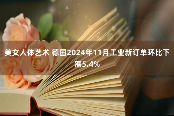 美女人体艺术 德国2024年11月工业新订单环比下落5.4%