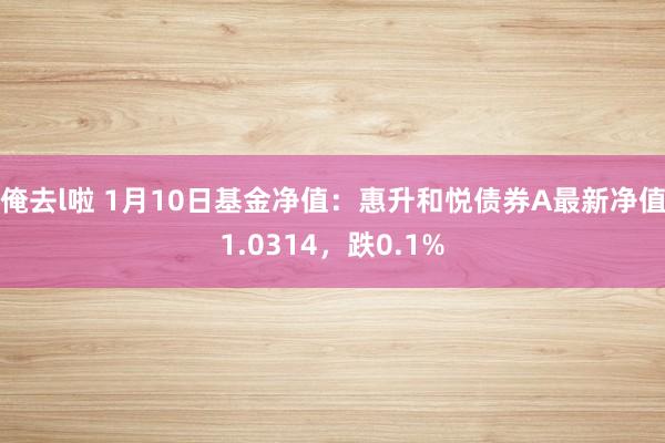 俺去l啦 1月10日基金净值：惠升和悦债券A最新净值1.0314，跌0.1%