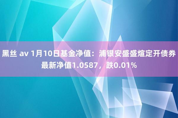 黑丝 av 1月10日基金净值：浦银安盛盛煊定开债券最新净值1.0587，跌0.01%