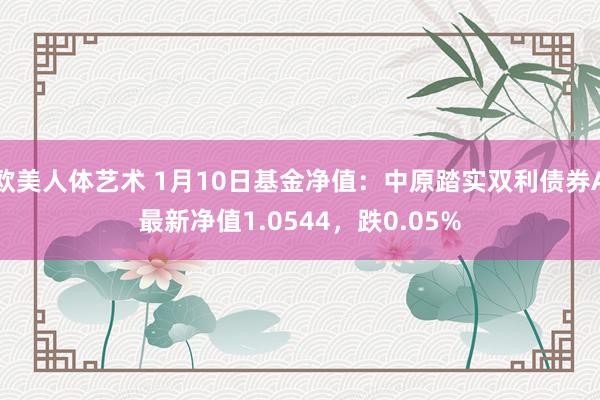 欧美人体艺术 1月10日基金净值：中原踏实双利债券A最新净值1.0544，跌0.05%