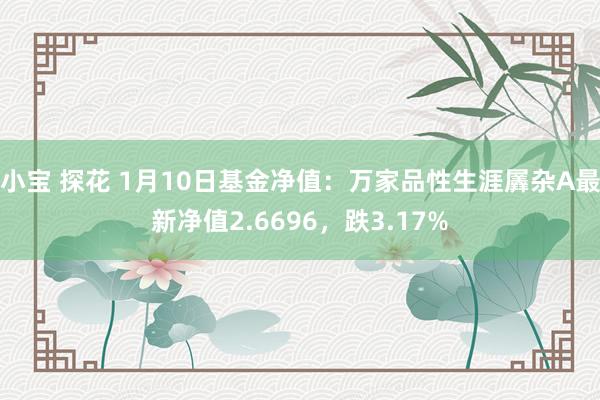 小宝 探花 1月10日基金净值：万家品性生涯羼杂A最新净值2.6696，跌3.17%