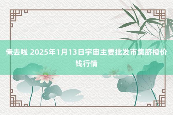 俺去啦 2025年1月13日宇宙主要批发市集脐橙价钱行情