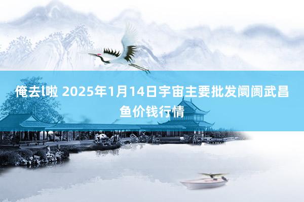 俺去l啦 2025年1月14日宇宙主要批发阛阓武昌鱼价钱行情