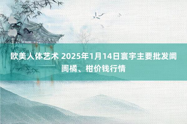 欧美人体艺术 2025年1月14日寰宇主要批发阛阓橘、柑价钱行情