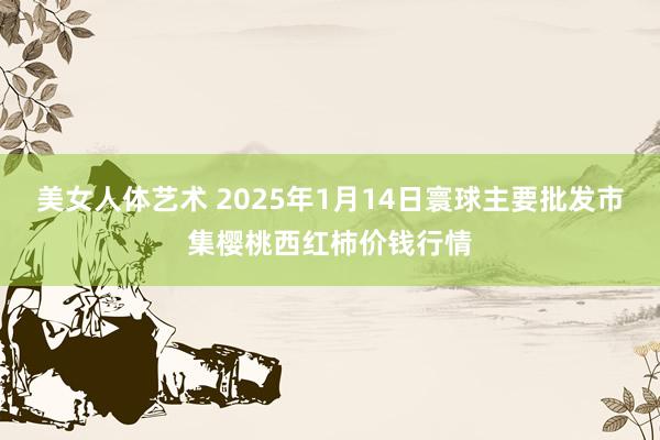 美女人体艺术 2025年1月14日寰球主要批发市集樱桃西红柿价钱行情