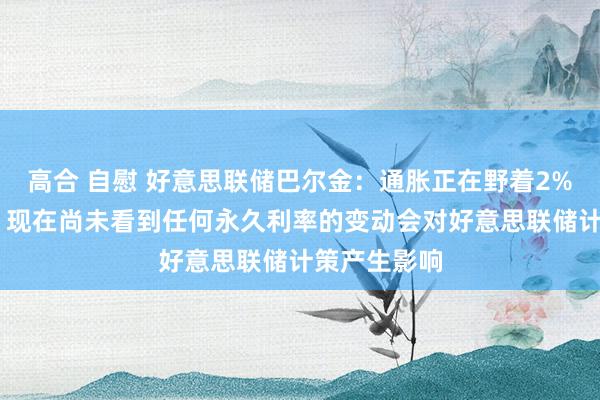 高合 自慰 好意思联储巴尔金：通胀正在野着2%的遐想回落 现在尚未看到任何永久利率的变动会对好意思联储计策产生影响