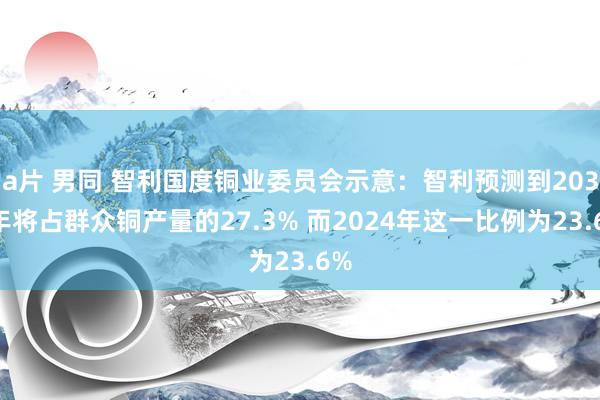 a片 男同 智利国度铜业委员会示意：智利预测到2034年将占群众铜产量的27.3% 而2024年这一比例为23.6%